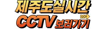 제주도실시간CCTV